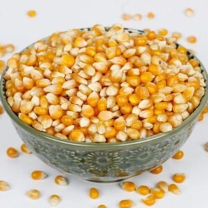 Maize Crop Seeds Variety One