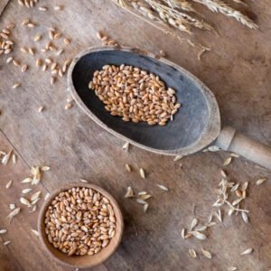 Wheat Crop Seed Variety Two