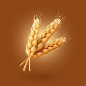 Wheat Crop Seed Variety One